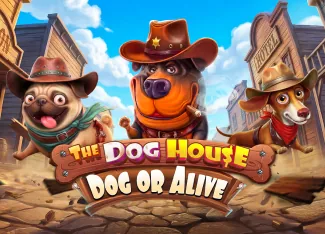 Dog or Alive (Дог ор Элайв) — обложка слота Pragmatic Play
